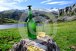 Green bottle and glass of natural Asturian cider made fromÂ fermented apples with view on Covadonga lake and tops of Picos de